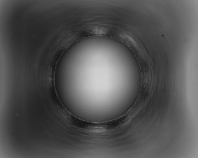 X0000088050553200705251324