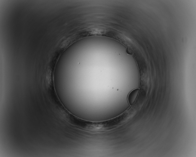 X0000088050554200705251324