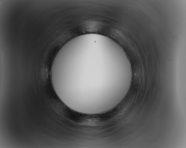 X0000088050555200705251324