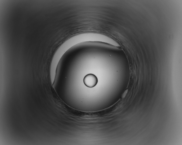 X0000088050556200705251324