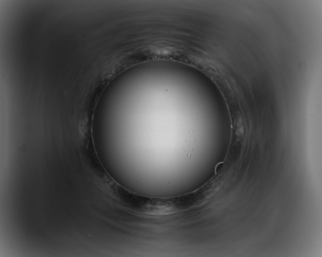 X0000088050559200705251324