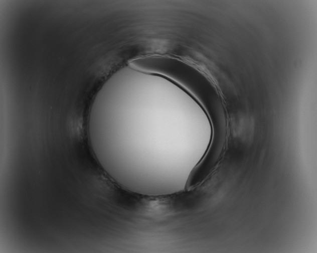 X0000088050564200705251324