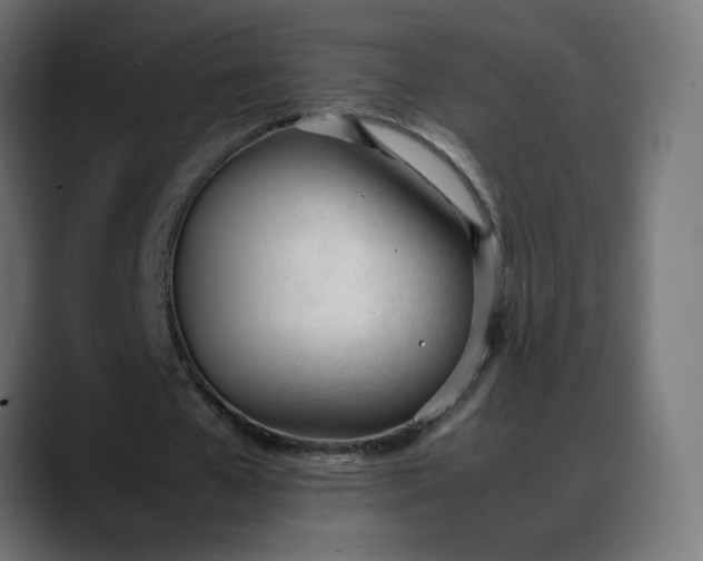 X0000088050577200705251324