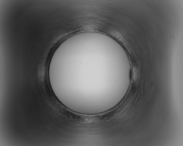 X0000088050579200705251324