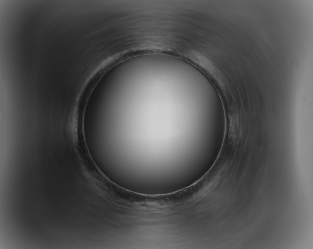 X0000088050580200705251324