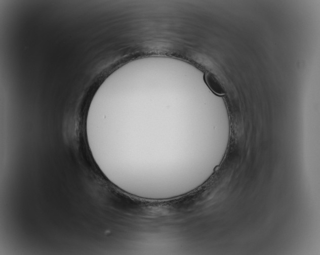 X0000088050583200705251324