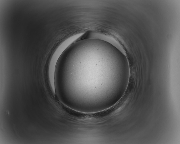 X0000088050589200705251324