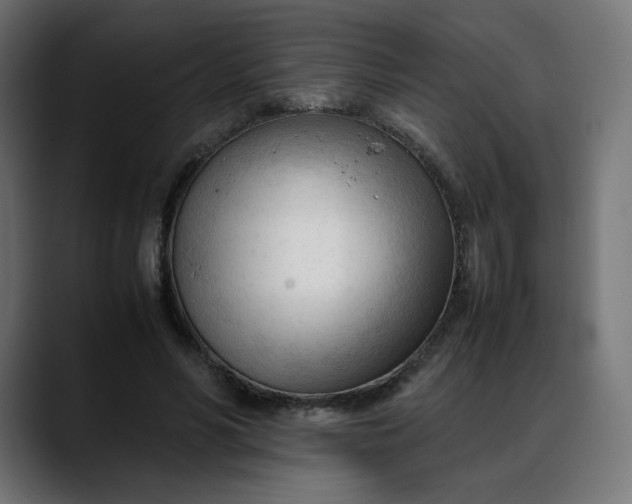X0000088050590200705251324