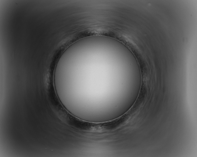 X0000088050591200705251324