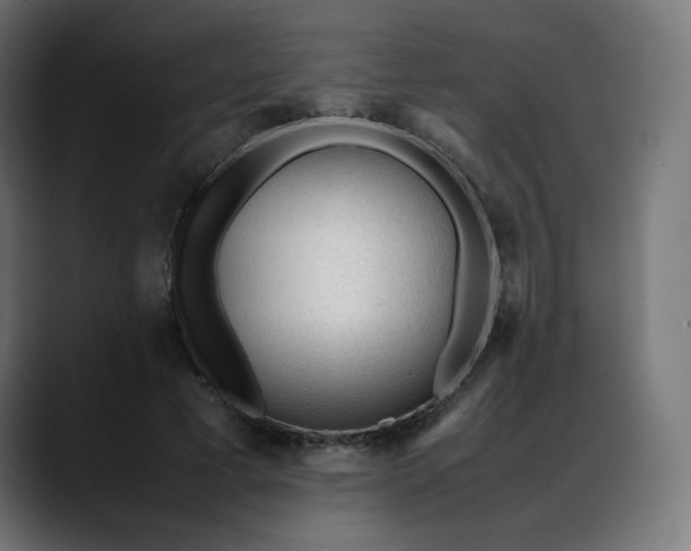 X0000088050593200705251324