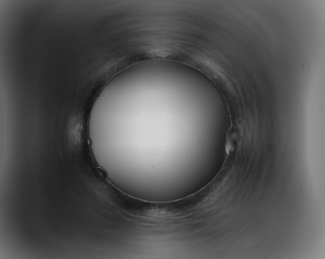 X0000088050596200705251324