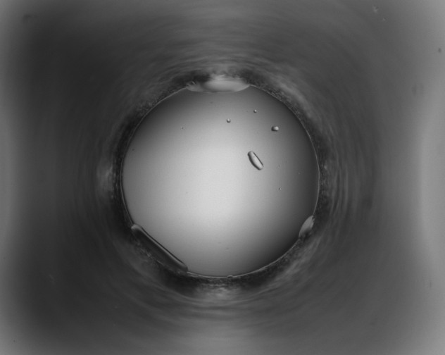 X0000088050597200705251324