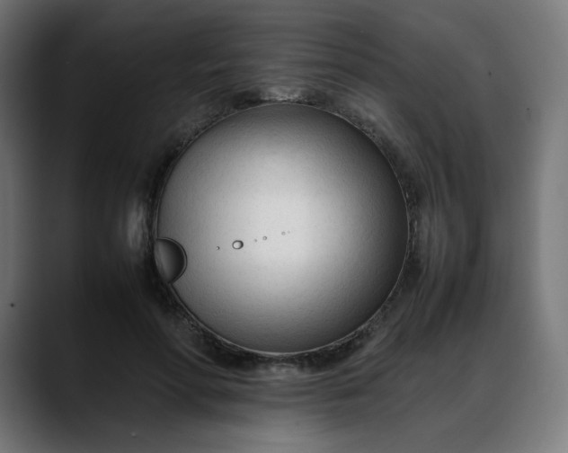X0000088050598200705251324