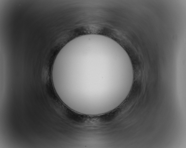 X0000088050599200705251324