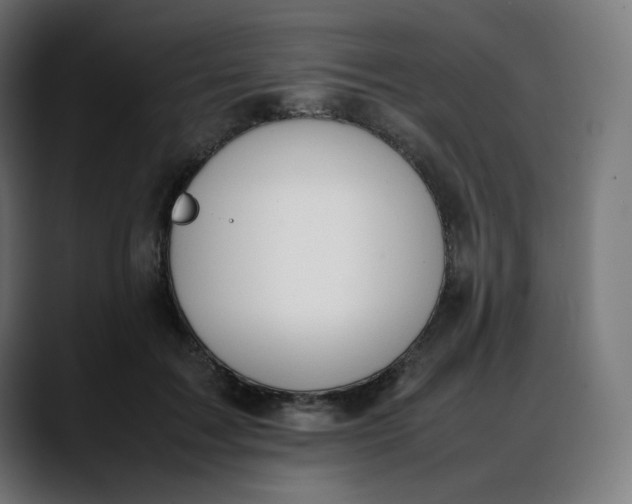 X0000088050603200705251324
