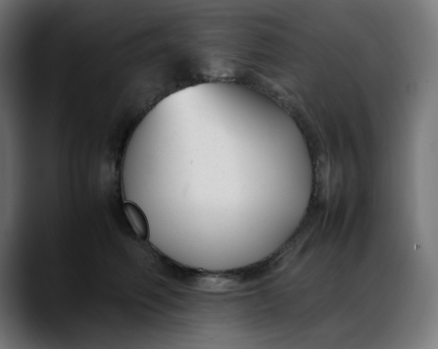X0000088050614200705251323
