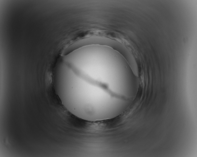 X0000088050621200705251323