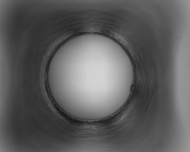 X0000088050625200705251323