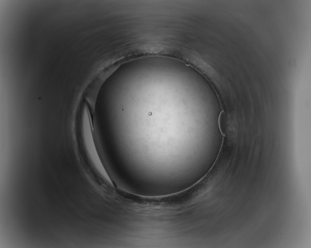 X0000088050626200705251323