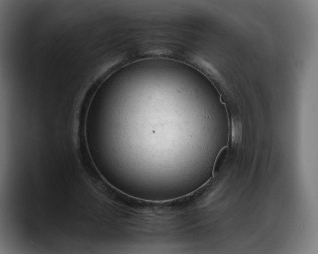 X0000088050627200705251323