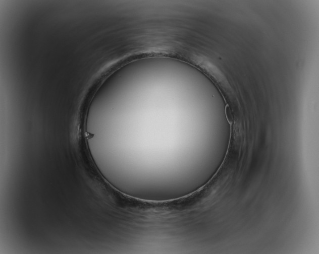 X0000088050628200705251323