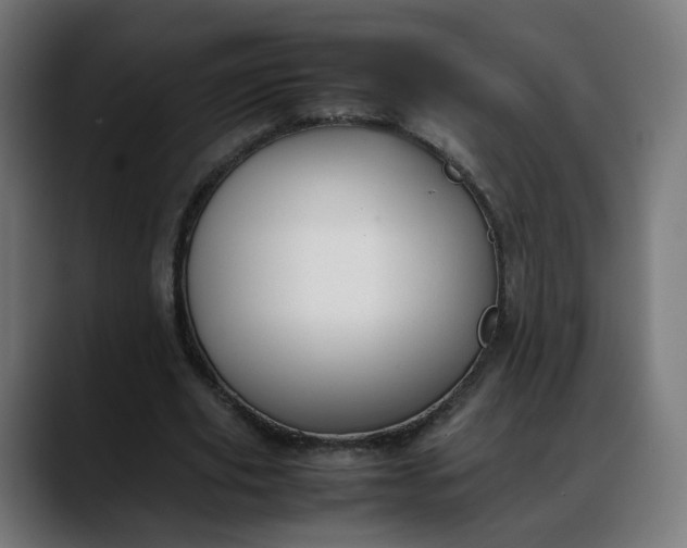 X0000088050629200705251323