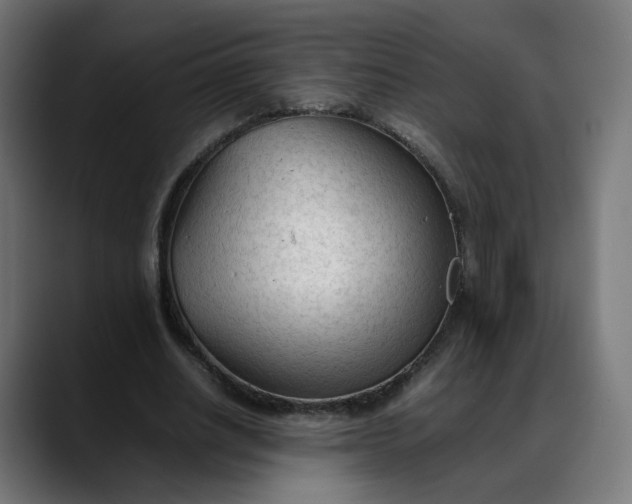 X0000088050630200705251323