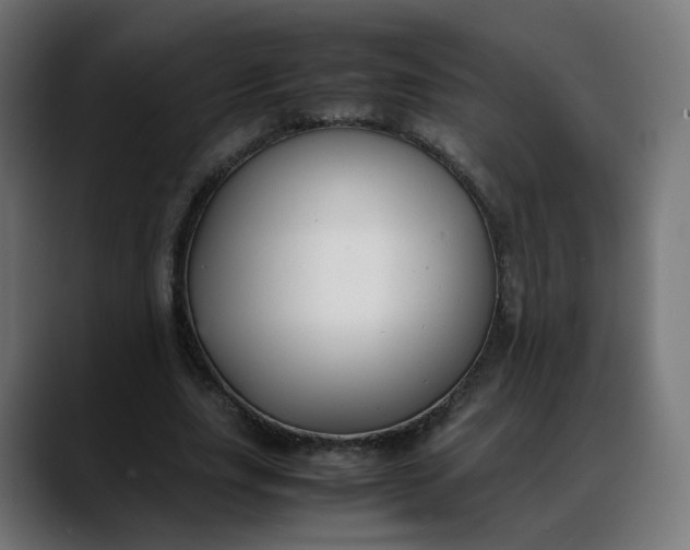 X0000088050631200705251323