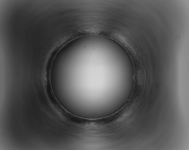 X0000088050634200705251323