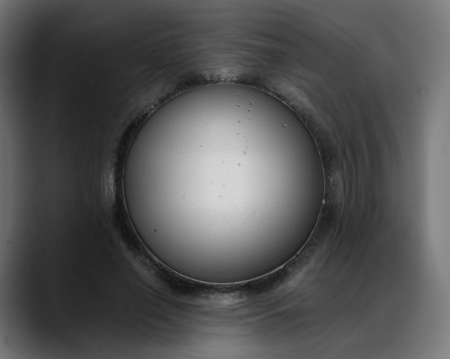 X0000088050638200705251323