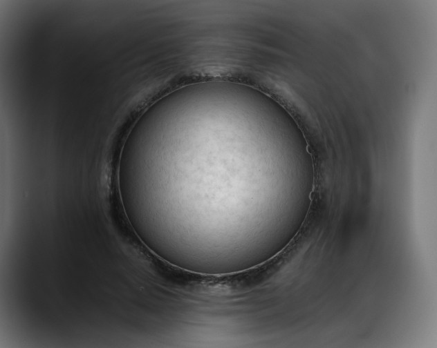 X0000088050640200705251323