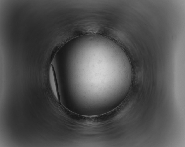 X0000088050641200705251323