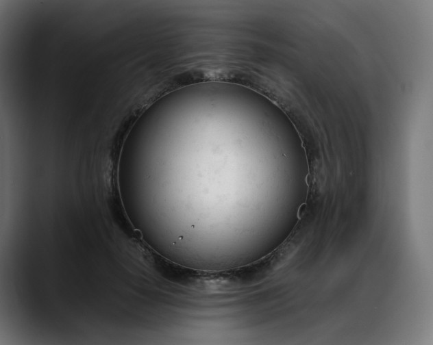 X0000088050650200705251323