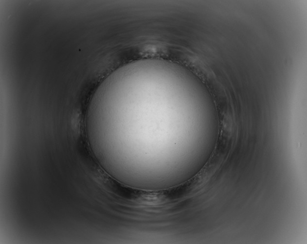 X0000088050659200705251323