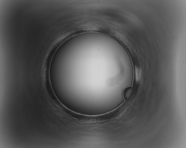 X0000088050675200705251323