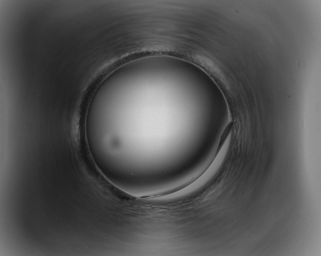 X0000088050676200705251323