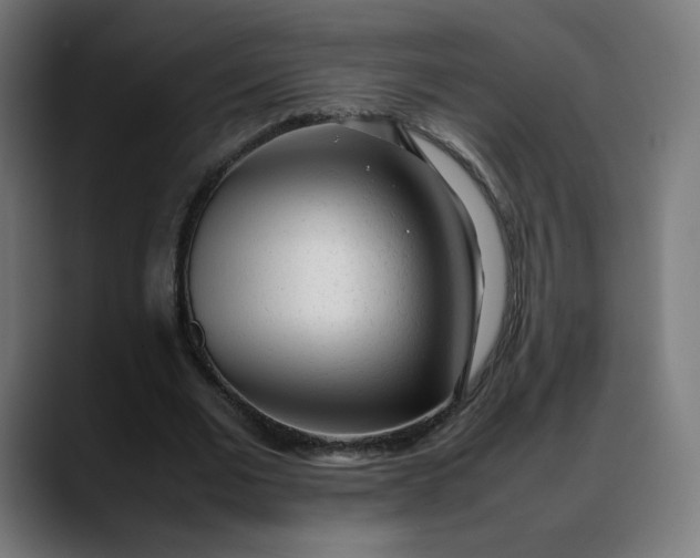 X0000088050677200705251323