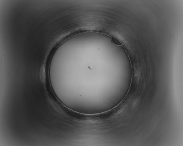 X0000088050678200705251323