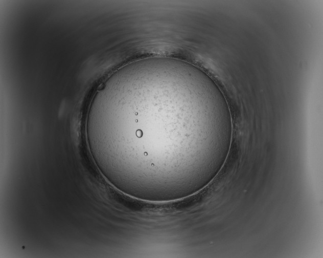 X0000088050679200705251323