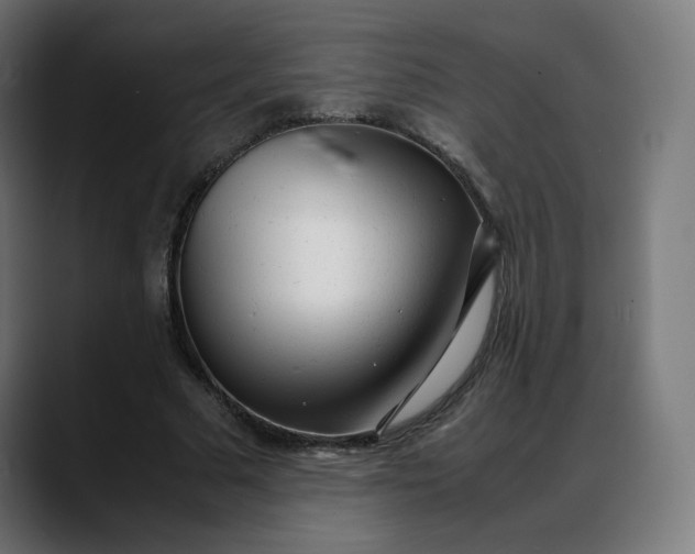 X0000088050681200705251323