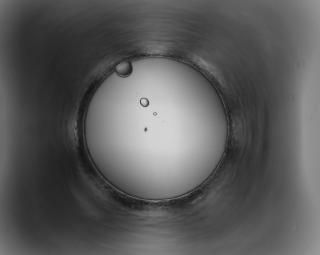 X0000088050682200705251323