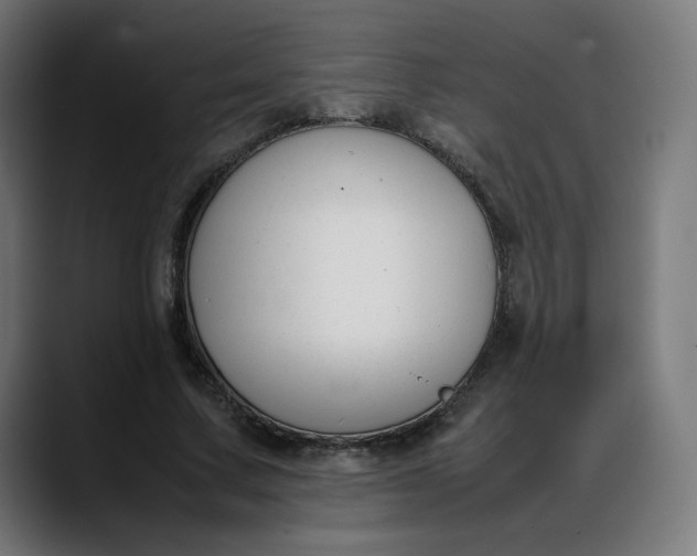 X0000088050683200705251322