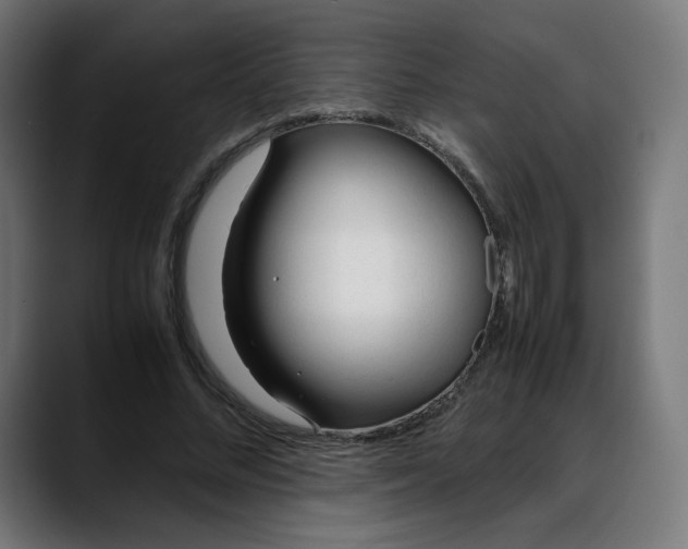X0000088050684200705251322