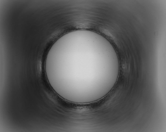 X0000088050686200705251322