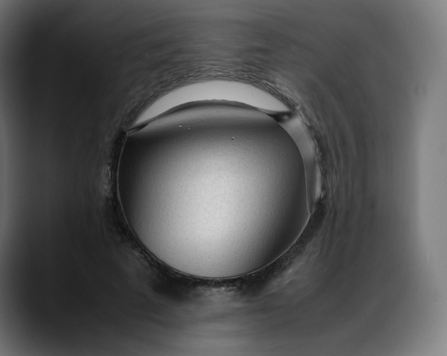 X0000088050689200705251322