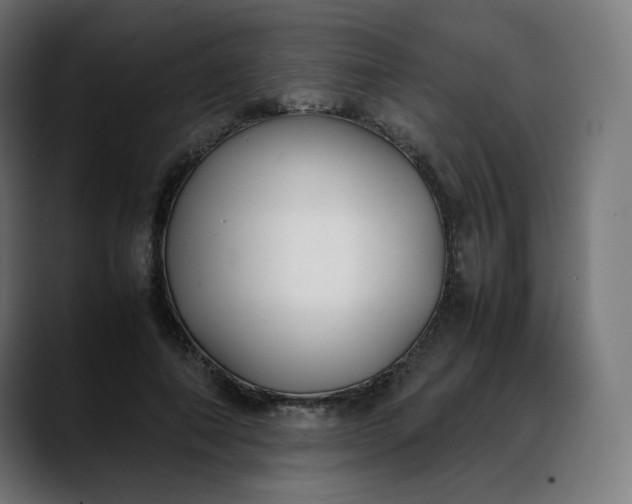 X0000088050690200705251322
