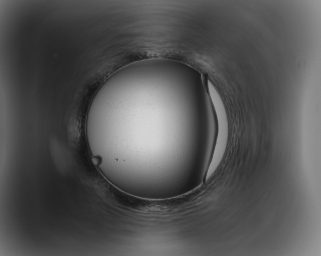 X0000088050691200705251322