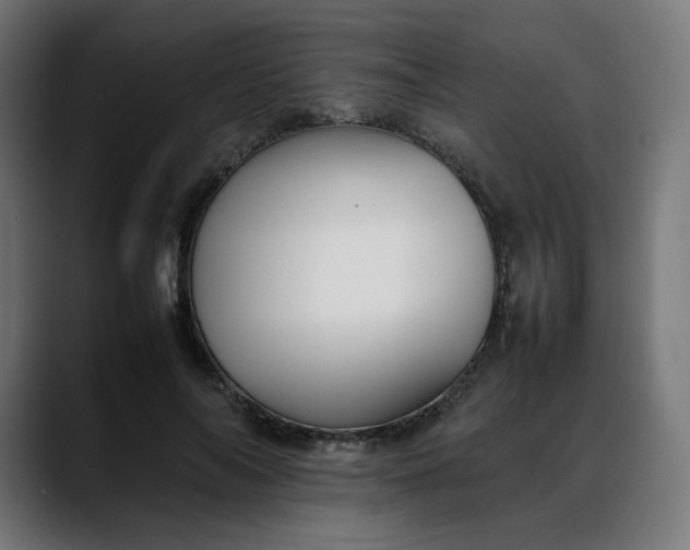 X0000088050694200705251322