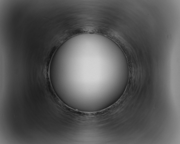 X0000088050696200705251322