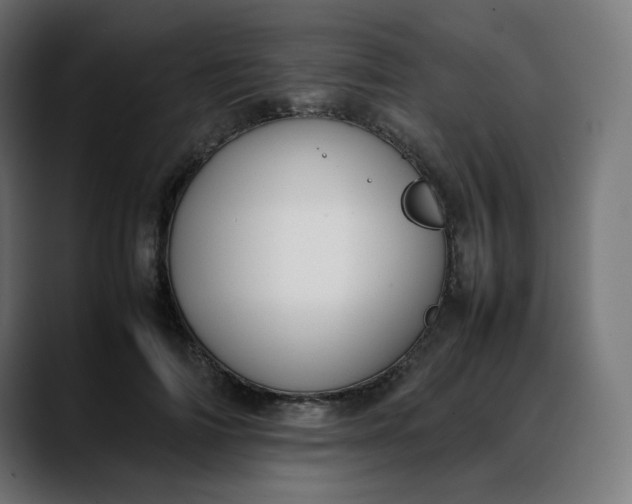 X0000088050698200705251322